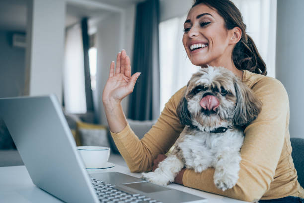istock Cheerful woman having video call at home. 1290369125