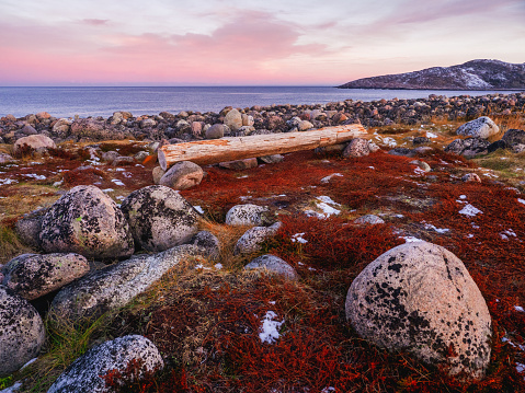 Maravilloso paisaje de montaña con tundra y un banco a orillas del mar de Barents. Teriberka photo