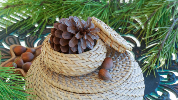 istock Two natural color baskets green pine tree branches on background 1290369718
