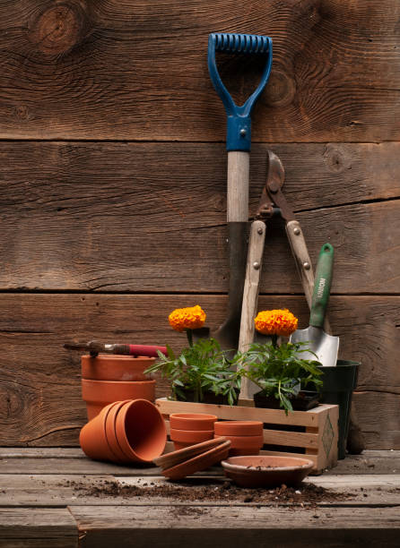 istock Potting table with gardening implements 1290370560