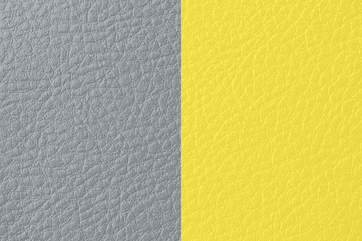Colors of the Year 2021 Ultimate Gray Illuminating Yellow Leather Texture Luxury Synthetic Wrinkled Animal Skin Abstract Texture Trendy Background Sunny Light and Shadow Shade Pattern Frame Macro Photography Design template for presentation, flyer, card, poster, brochure, banner