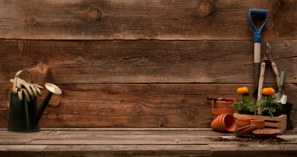 istock Potting table with gardening implements 1290377750