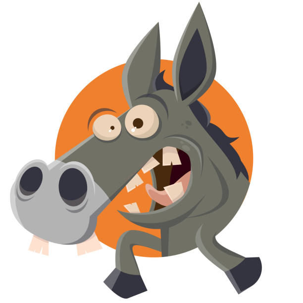 Ugly Donkey Stock Photos, Pictures & Royalty-Free Images - iStock