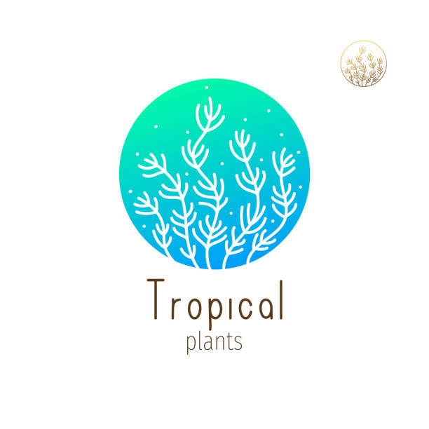ilustrações, clipart, desenhos animados e ícones de logotipo da selva tropical - silhouette water computer icon cosmetics