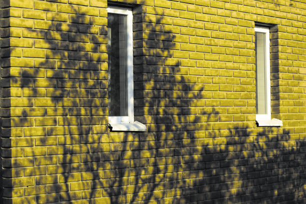 istock Natural dark shadows of trees on yellow  wall 1290381570