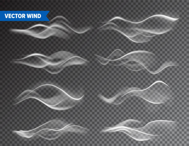 realistische wind-set auf transparentem hintergrund. vektordampf in luft, rauchdampfstrom. nebel, nebeleffekt - smoke condensation gas smooth stock-grafiken, -clipart, -cartoons und -symbole