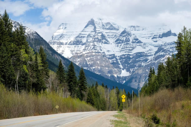 istock Road In The Mountains 1290390936