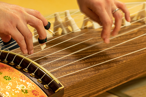 Play the koto strings with fingers