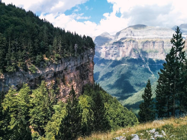 istock mountain path landscape with rocks and pine trees 1290395203