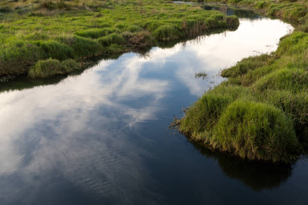 istock blackwater marsh and river with grassy hillocks and reflections of white clouds 1290399698