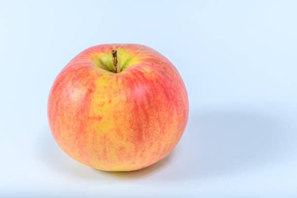 Close-up, on an isolated transparent background, depicts a bright red apple located in a metal basket on autumn leaves.