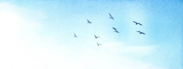 istock Watercolor illustration of birds flying in the sky. 1290417331