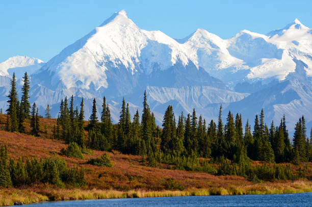 istock Alaska Range from inside Denali National Park and Preserve, Alaska 1290419754