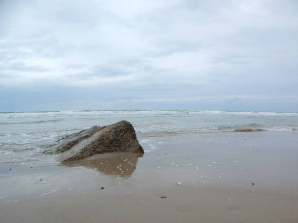 istock On the beach of the Danish west coast 1290433278
