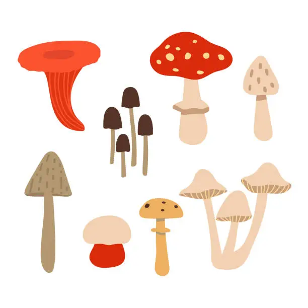 Vector illustration of Set of poisonous mushrooms isolated on white background. Vector illustration in the style of flat