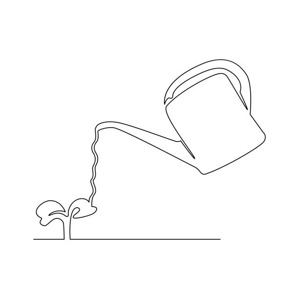 Watering plant, continuous line. Vector illustration, isolated on white background. watering can stock illustrations