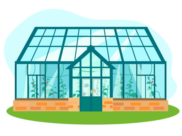 ilustrações, clipart, desenhos animados e ícones de ilustração vetorial da estufa - greenhouse