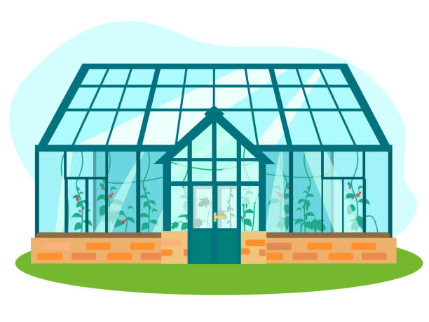 векторная иллюстрация теплицы - greenhouse stock illustrations