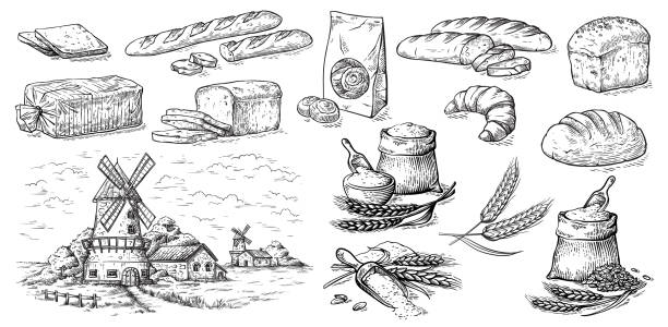 ilustrações de stock, clip art, desenhos animados e ícones de collection of natural elements of bread and flour mill sketch - torrada ilustrações
