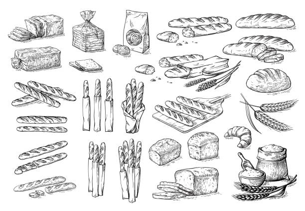 stockillustraties, clipart, cartoons en iconen met verzameling van natuurlijke elementen van brood en meelschets - gravure gefabriceerd object illustraties