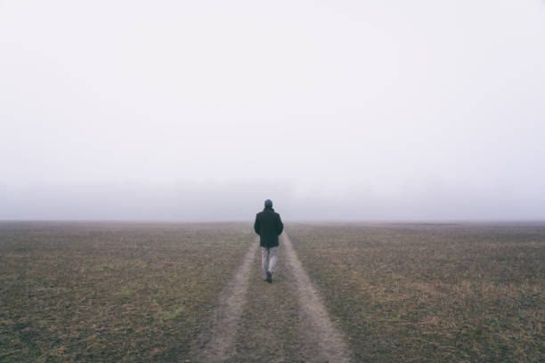 istock A Misty Walk In The English Countryside 1290464647
