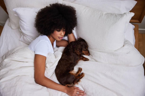 istock Young woman asleep in her bed with her dachshund 1290466518