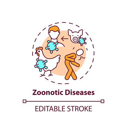 Zoonotic diseases concept icon. Bird, pig flu. Swine influenza. Infection from animal. Healthcare idea thin line illustration. Vector isolated outline RGB color drawing. Editable stroke
