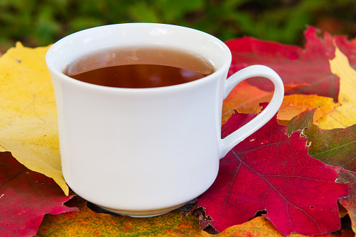 White cup of tea on a background of beautiful autumn leaves