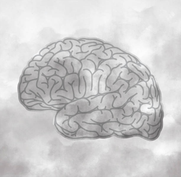 Brain Fog Mental Fatigue Memory Loss Confusion Concept Illustration Brain Fog Mental Fatigue Memory Loss Confusion Concept Vector Illustration neuropsychology stock illustrations