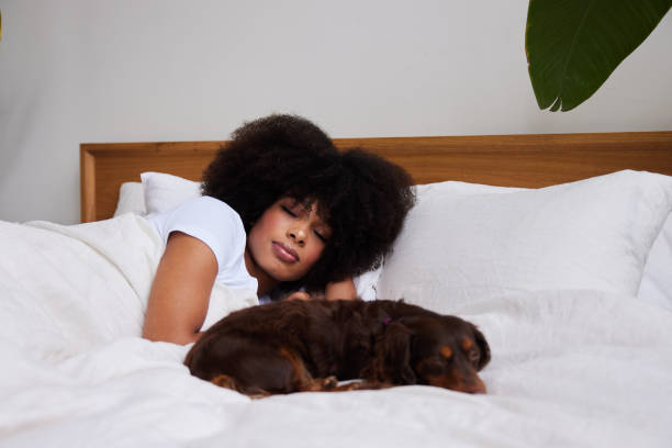 istock Young woman sleeping with her dachshund in bed 1290467075