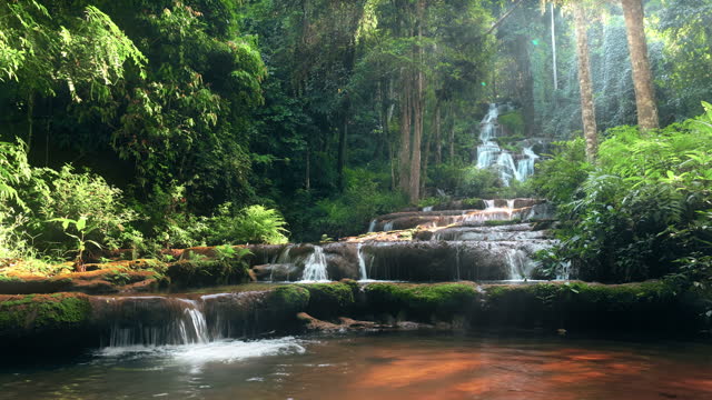 SLO MO Waterfall in the rainforest seamless loop