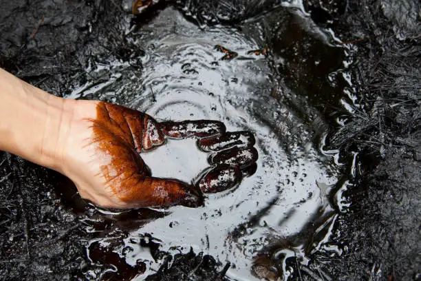 hand touching crude oil