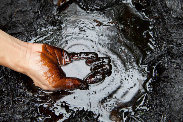 crude oil - toxic substance dirt pollution scientific experiment imagens e fotografias de stock