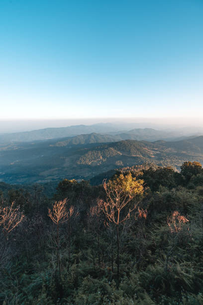istock On the hill,Mountain forest view in the evening 1290468335