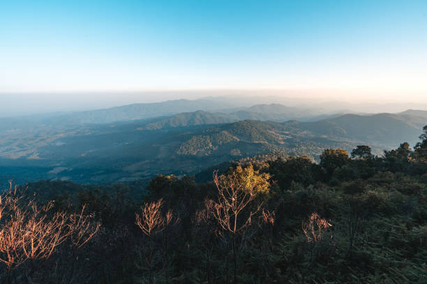 istock On the hill,Mountain forest view in the evening 1290468381