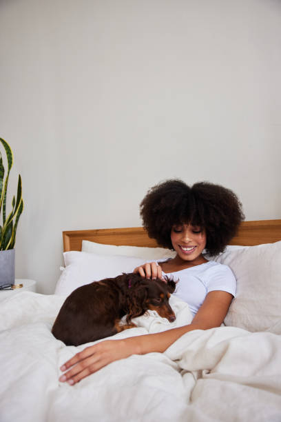 istock Smiling young woman lying with her dachshund in bed 1290470842
