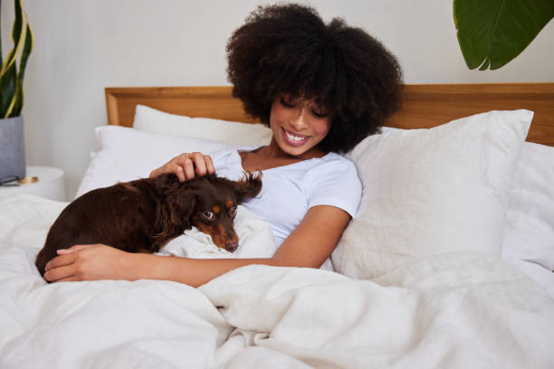 istock Smiling young woman lying in bed with her dachshund 1290471015
