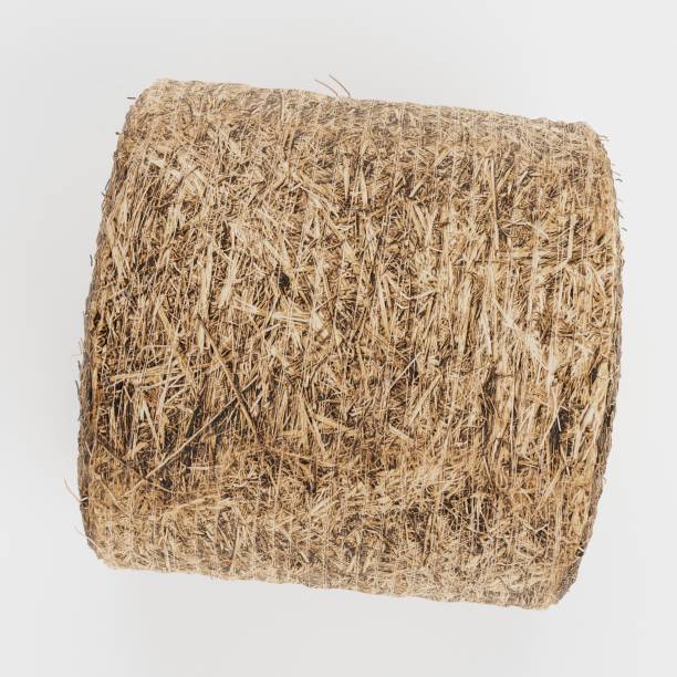 istock Realistic 3D Render of Hay Bale 1290471132