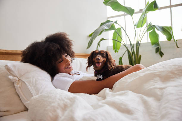 웃고 있는 젊은 여자 깨어 있는 침대 와 그녀의 닥스훈트 - pets bedroom animal mammal 뉴스 사진 이미지