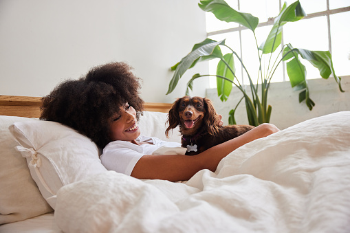 Smiling young African American woman waking up in bed in the morning with her cute little dachshund