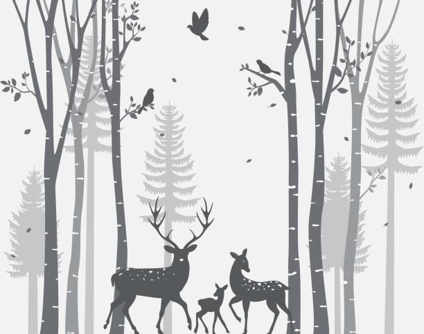 istock Birch Tree with deer and birds Silhouette Background for wallpaper sticker 1290472039