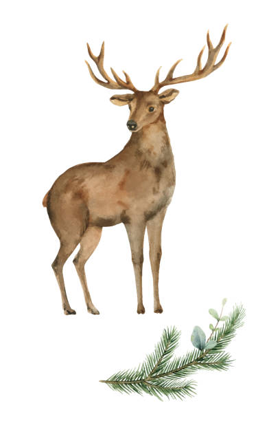 istock Watercolor vector card with a deer and a fir branch isolated on a white background. Perfect graphic for  greeting cards, party invitations, photos, scrapbooking, packaging, posters, quotes and more. 1290472157