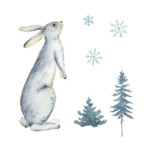 ilustrações de stock, clip art, desenhos animados e ícones de watercolor vector card with a rabbit, fir trees and snowflakes isolated on a white background. perfect graphic for  greeting cards, party invitations, scrapbooking, posters, quotes and more. - christmas christmas tree snow illustration and painting