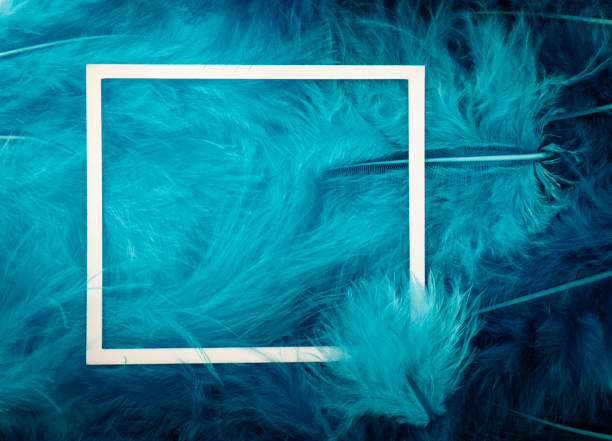 istock Blue feathers and white paper frame. Flat lay. Close-up. 1290472496