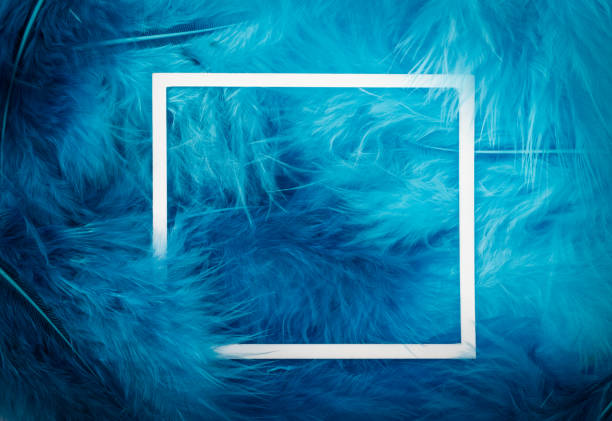 istock Blue feathers and white paper frame. Flat lay. Close-up. 1290472498