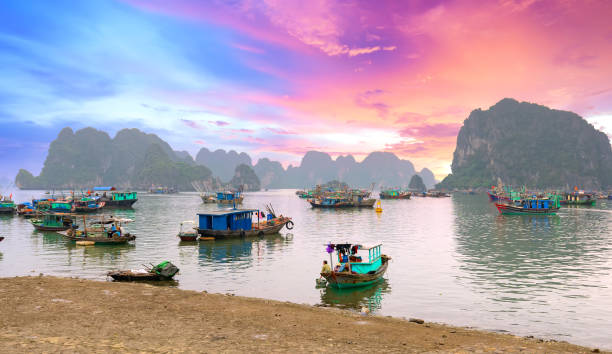 Boat dock in Halong Bay, Vietnam Boat dock in Halong Bay, Vietnam with many fishing boats anchored. This is considered a natural World Heritage Site haiphong province photos stock pictures, royalty-free photos & images