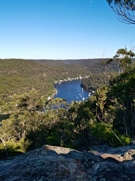 istock Mountain and valley landscape, Berowra Heights, Sydney, Australia 1290473676