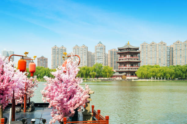 antichi edifici sul lago: pagoda, xi'an, cina. - xian foto e immagini stock