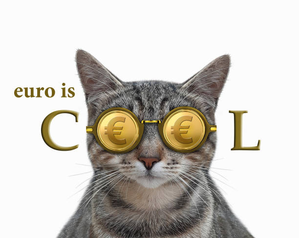 istock Cat gray in cool euro glasses 1290477769