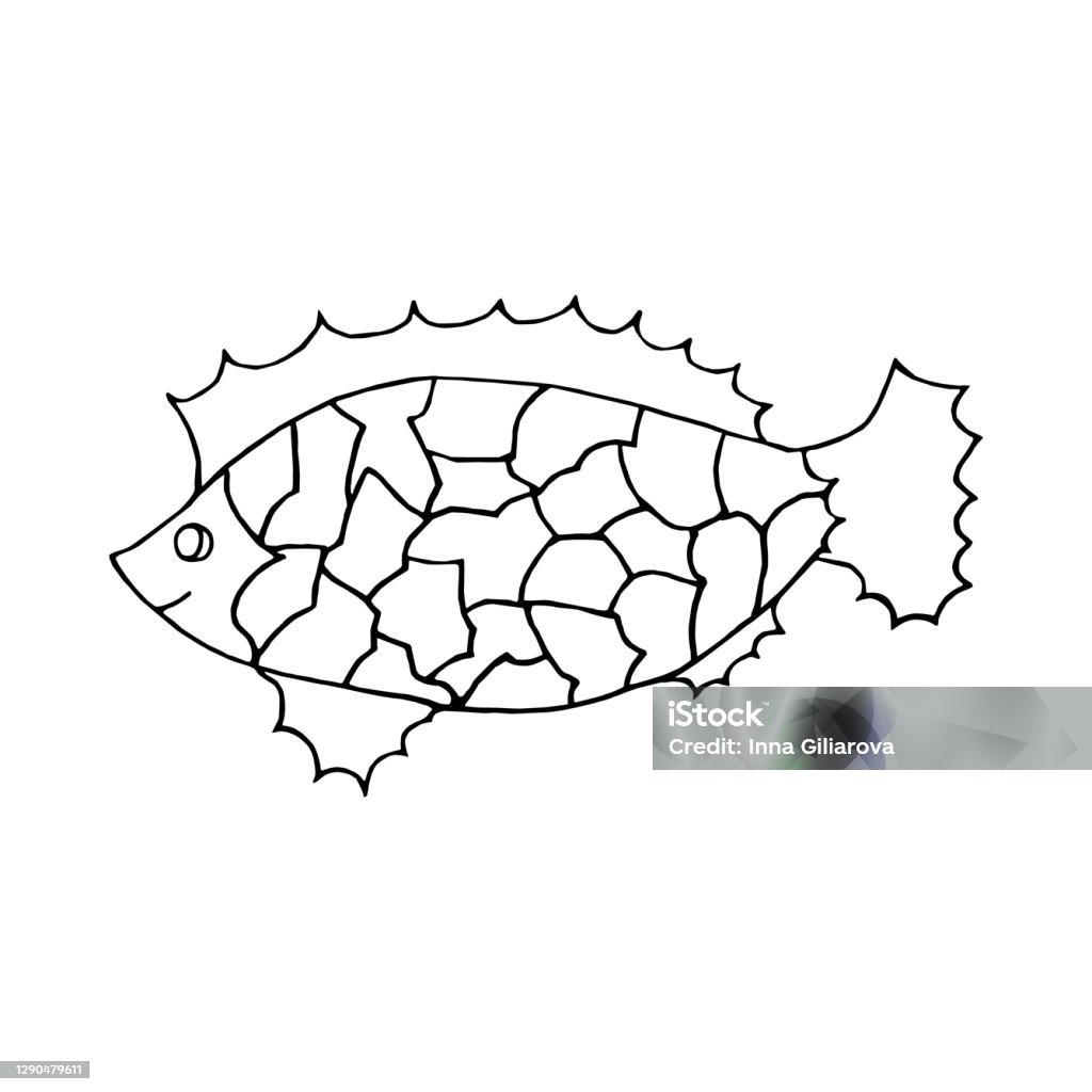 Fish Contur Handdrawn Contour Black Vector Fish Stock Illustration - Download Image ...